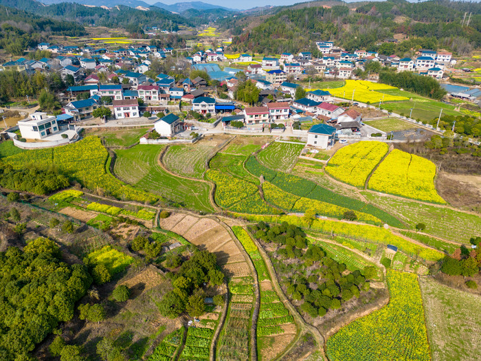 丘陵山川农田油菜花美丽乡村航拍摄影图