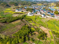 丘陵山川农田油菜花美丽乡村航拍摄影图