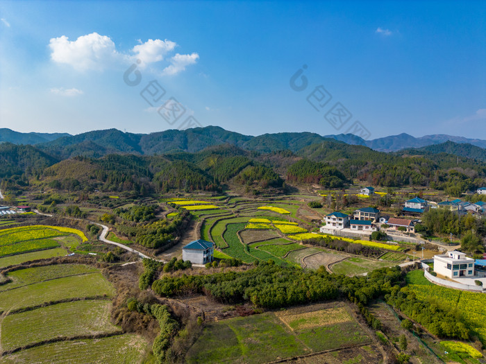 丘陵山川农田油菜花美丽乡村航拍摄影图 乡村振兴