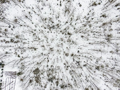 森林冬天雪景航拍摄影图