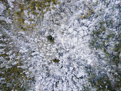 森林冬天雪景航拍摄影图