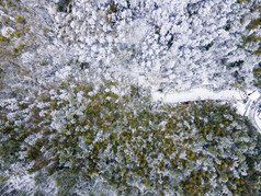 森林冬天雪景航拍摄影图