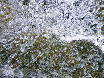 森林冬天雪景航拍摄影图