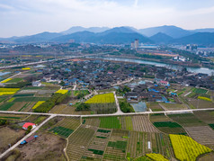 山川湖泊美丽乡村油菜花航拍图