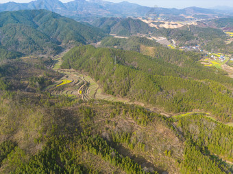 山川农田油菜花美丽乡村航拍摄影图