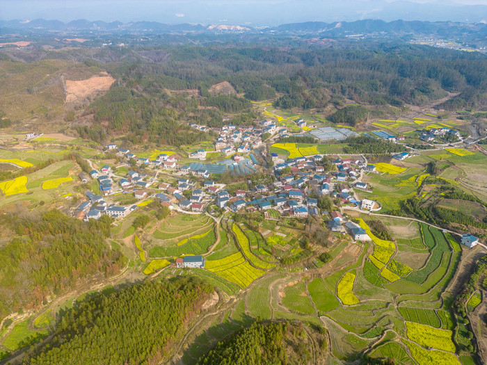 山川农田油菜花美丽乡村航拍摄影图