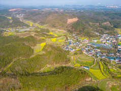 山川农田油菜花美丽乡村航拍摄影图