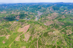 山川丘陵橙子橘子种植基地航拍摄影图