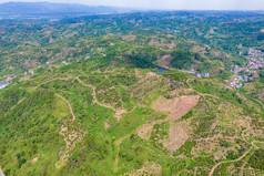 山川丘陵橙子橘子种植基地航拍摄影图