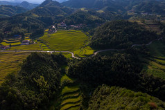 山川丘陵金黄稻田梯田航拍摄影图