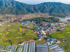 山川丘陵农田农业种植乡村航拍摄影图