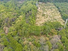 山川丘陵秋色航拍摄影图