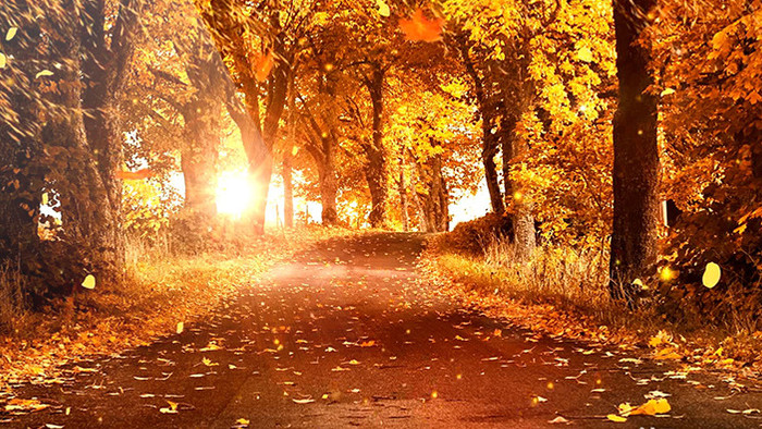 秋天的风景唯美乡间小路