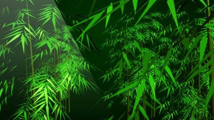 动态绿色竹林LED舞台视频