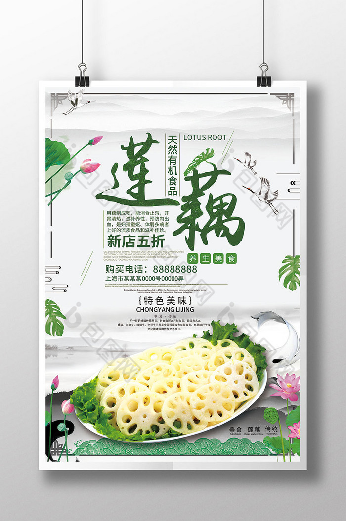 莲藕冬季食品促销图片图片