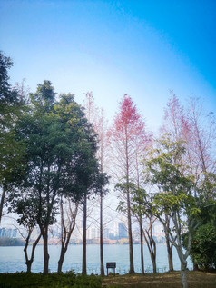 湖南长沙西湖公园摄影图