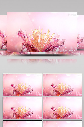 三维精致花瓣浮出水面视频素材图片