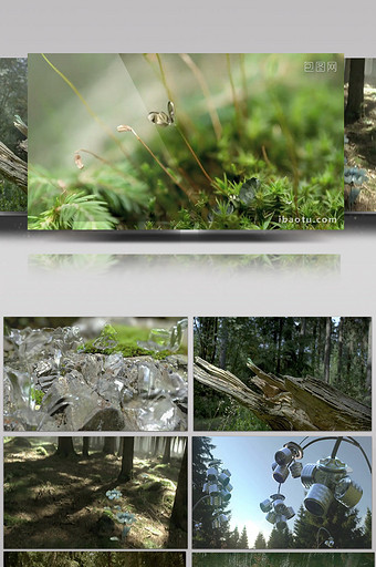 自然生物科技视频素材图片