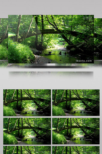 热带雨林图片-热带雨林素材免费下载-包图网