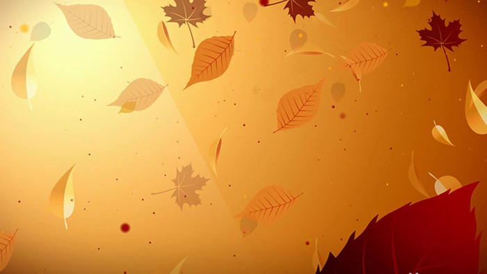 高清粒子秋风落叶温馨唯美视频素材