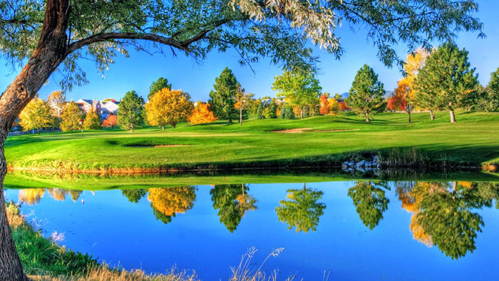 尴尬搞怪综艺音效选秀语言音效UI交互