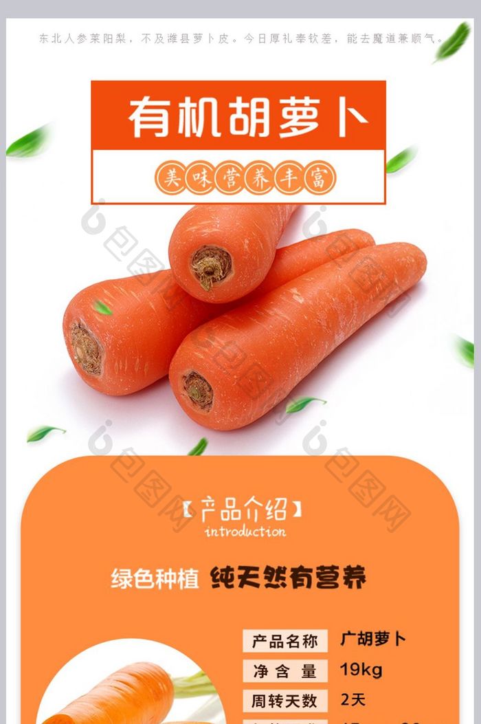 清新自然风蔬菜胡萝卜淘宝天猫详情页模板