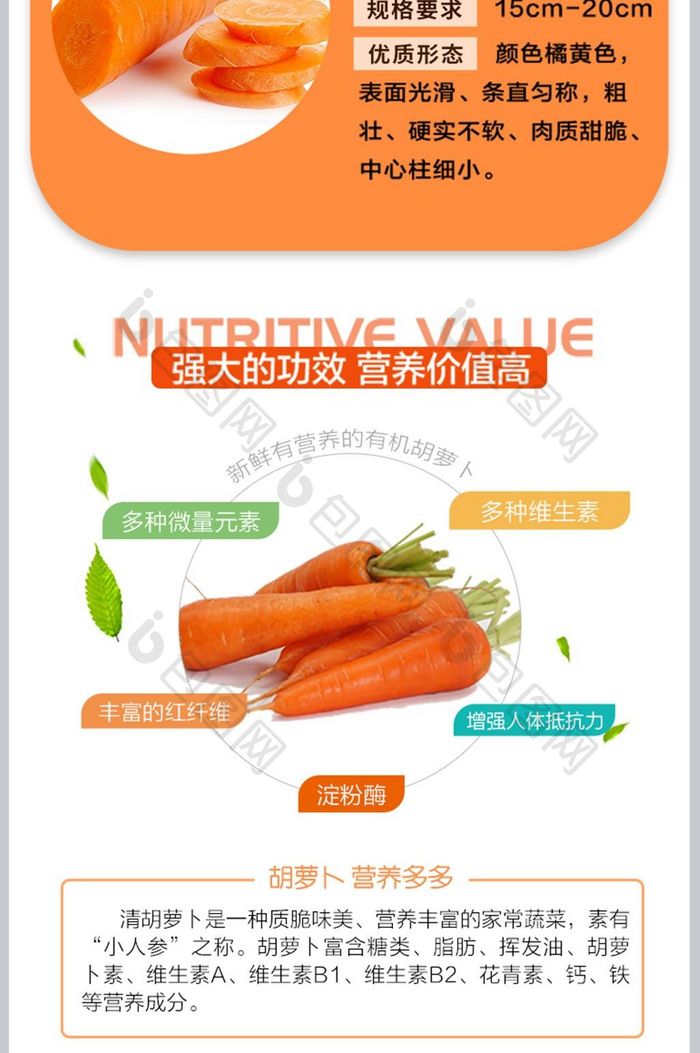 清新自然风蔬菜胡萝卜淘宝天猫详情页模板