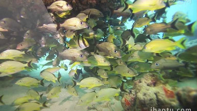 微生物图片_微生物模板下载_微生物设计素材