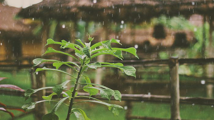 雷雨天气影视音效