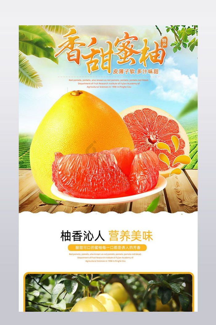 水果蜜柚详情模板图片