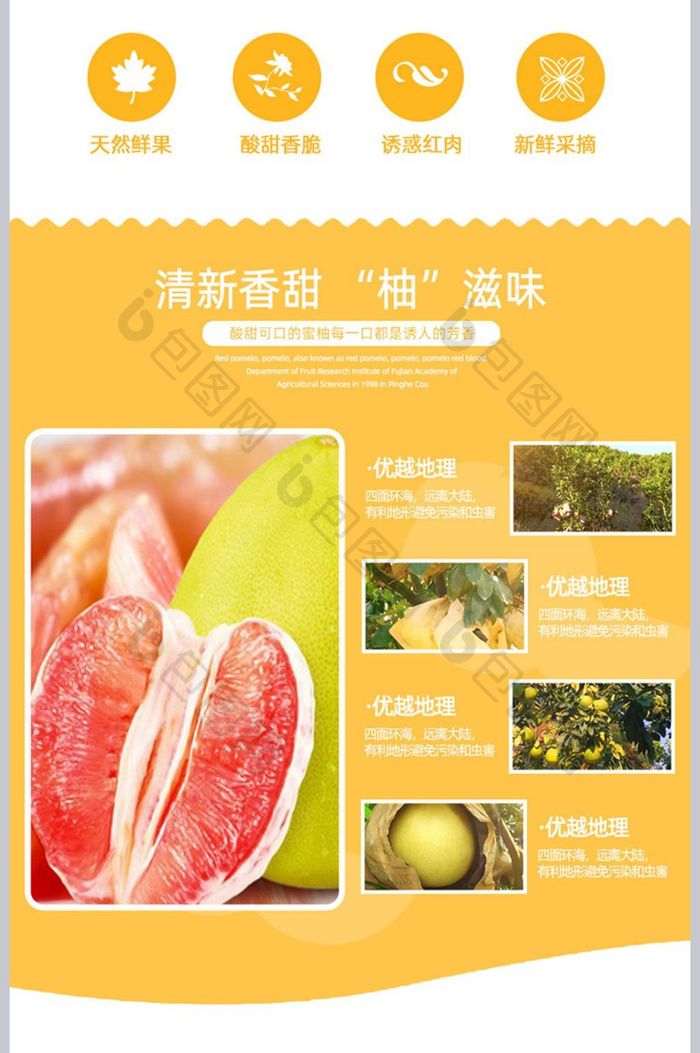 水果蜜柚详情模板