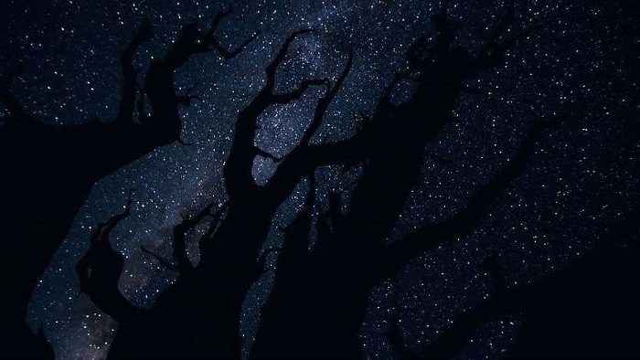 电音与二胡不一样的动感中国风轻音乐