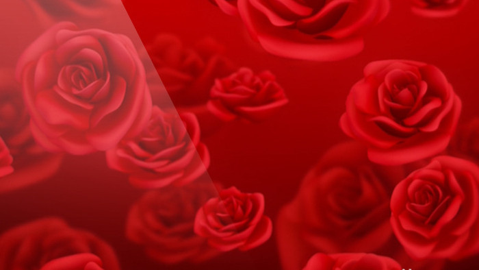 浪漫婚庆爱情玫瑰高清视频素材