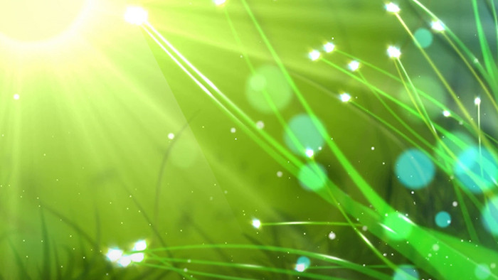 宁静优美湖边风光实拍短片素材【视频下载】