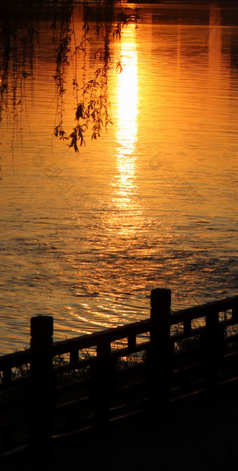 夕阳下的湖面摄影