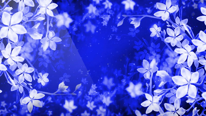安静唯美的蓝色花朵循环婚礼led背景视频