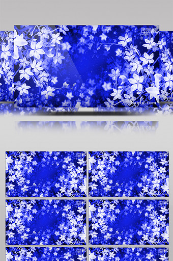 安静唯美的蓝色花朵循环婚礼led背景视频图片
