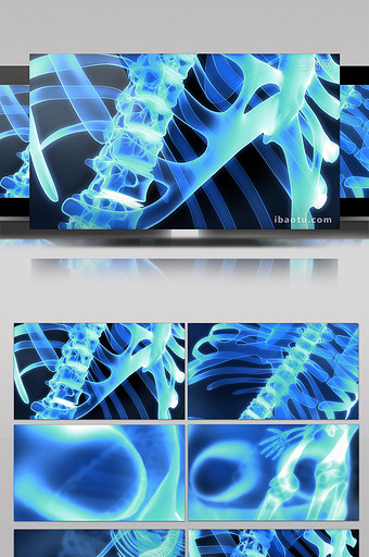 人体骨骼透视医疗素材图片