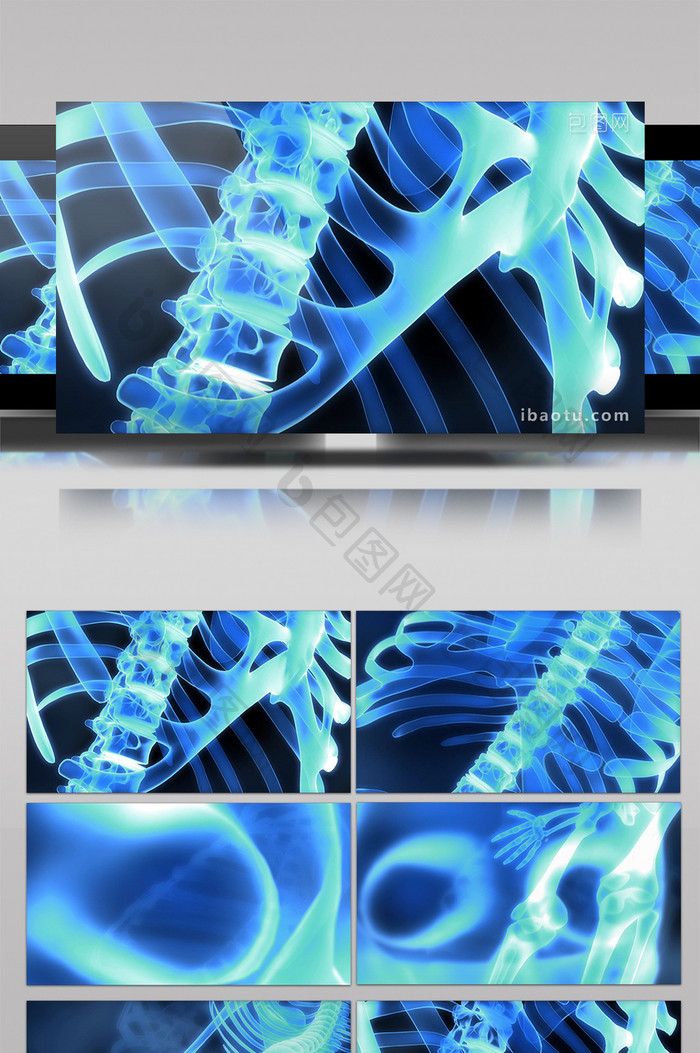 人体骨骼透视医疗素材