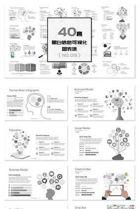 40套黑白信息可视化图表PPT模板