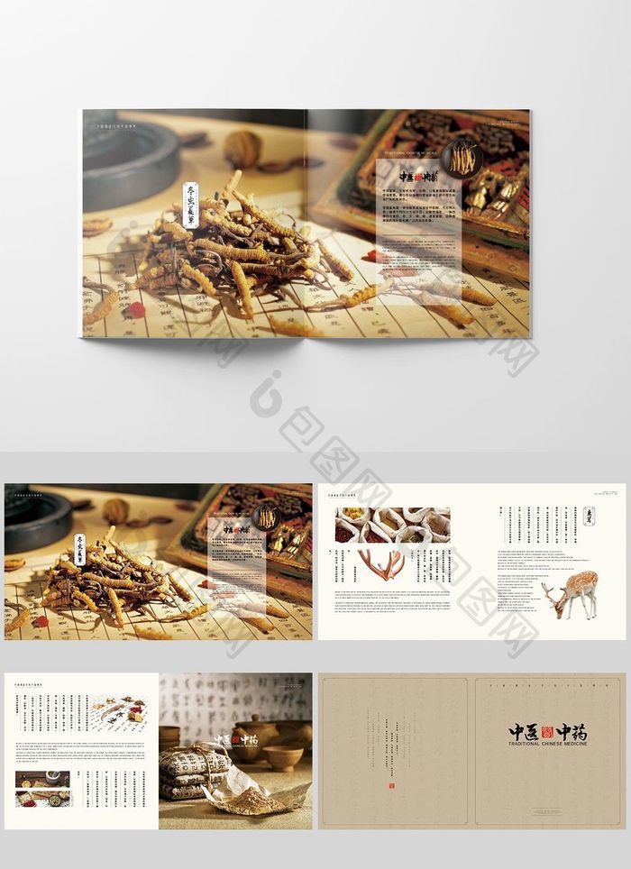中国风中式中医医药传统文化画册整套