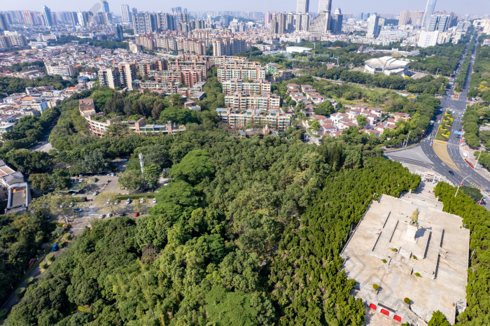广东中山城市风光中山公园航拍摄影图图片-包图网企业站