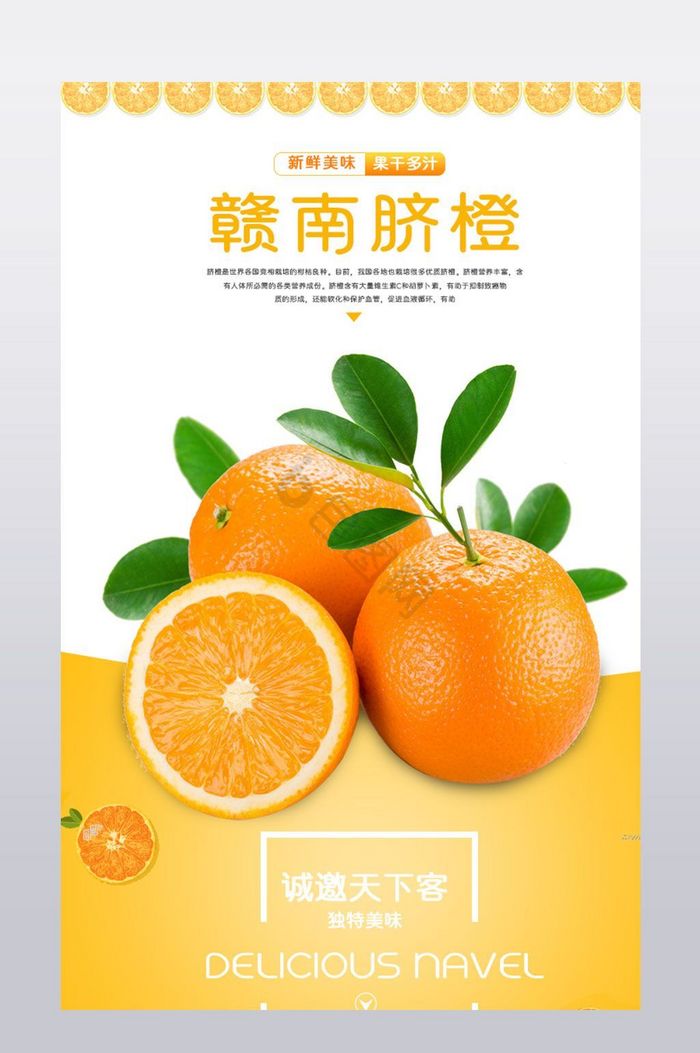 水果脐橙详情模板图片