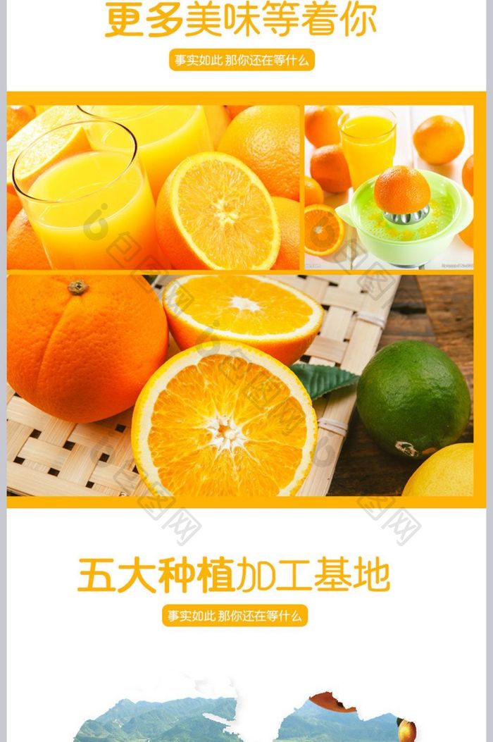 水果脐橙详情模板