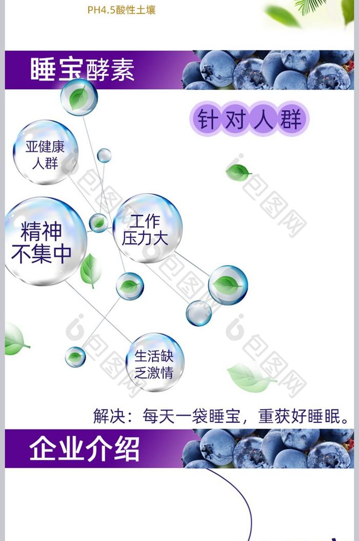 淘宝天猫食品蓝莓酵素电商详情页模版