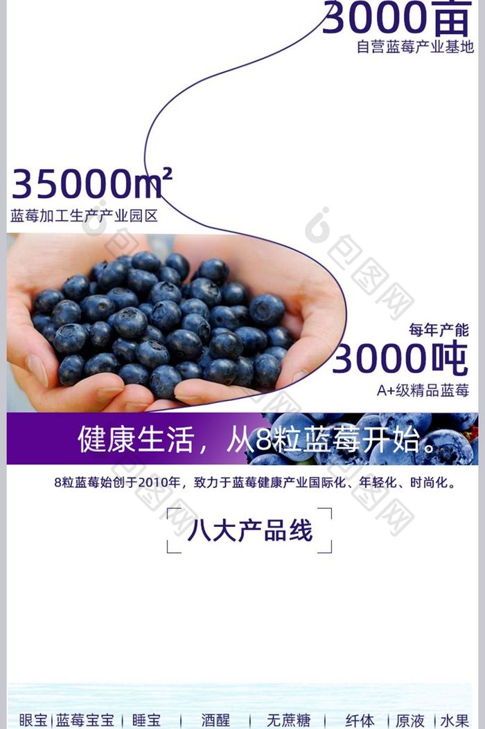 淘宝天猫食品蓝莓酵素电商详情页模版