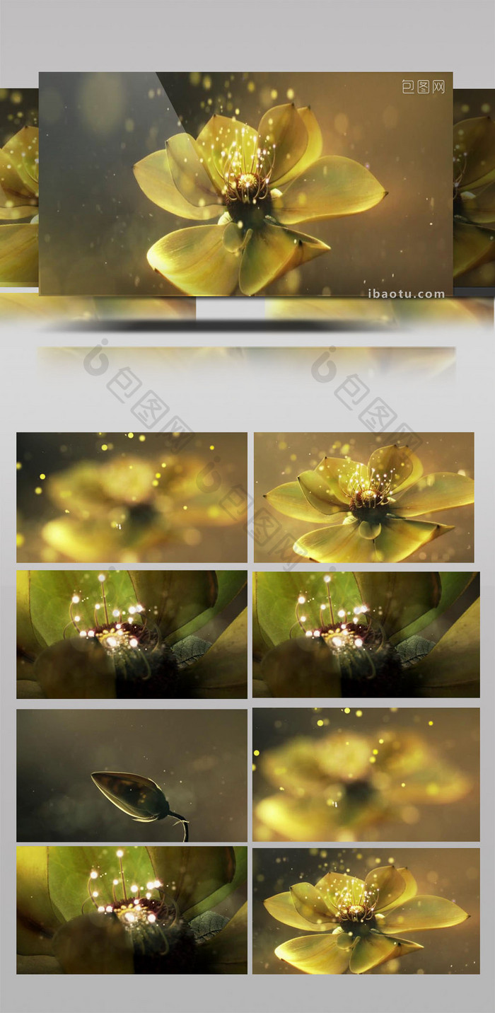 浪漫复古舞台背景花开花落视频mp4 包图网