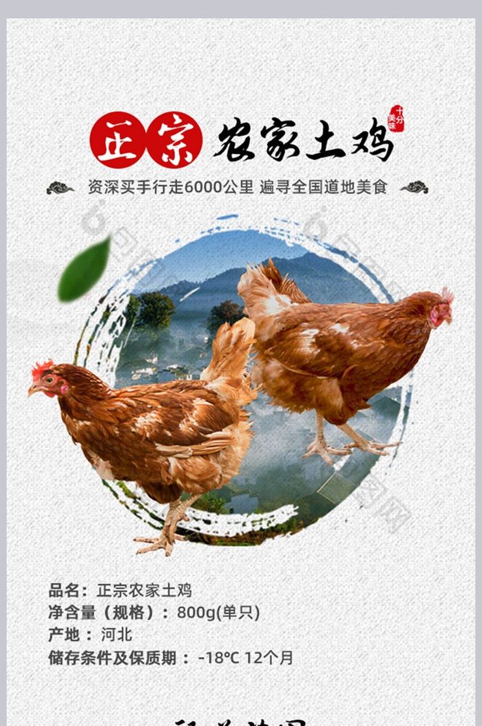 中国风土鸡详情模版