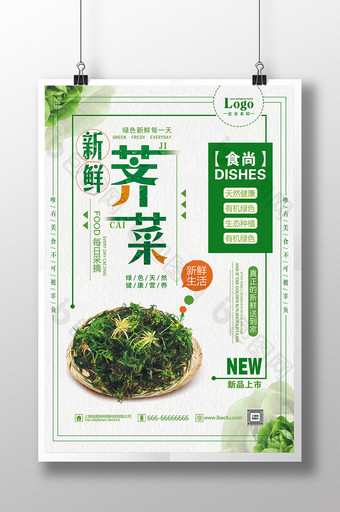 新鲜荠菜营养健康蔬菜海报图片