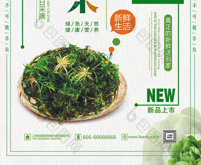 新鲜荠菜营养健康蔬菜海报